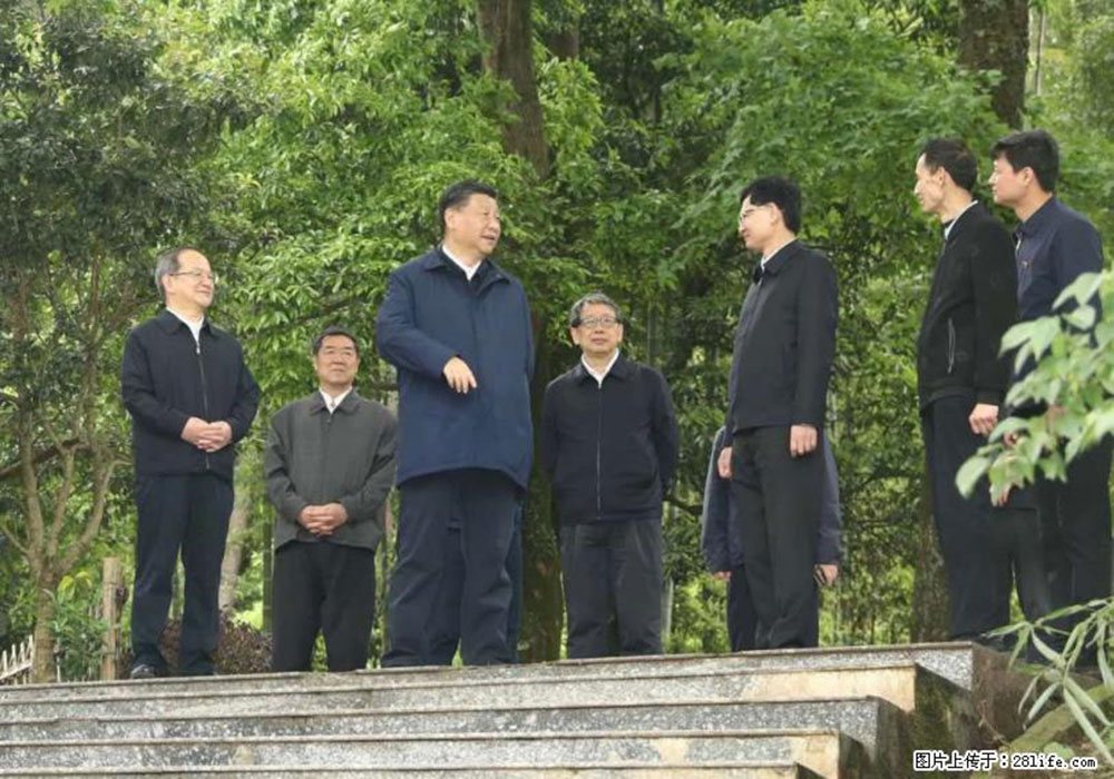 习近平赴广西考察调研 - 淄博生活资讯 - 淄博28生活网 zb.28life.com