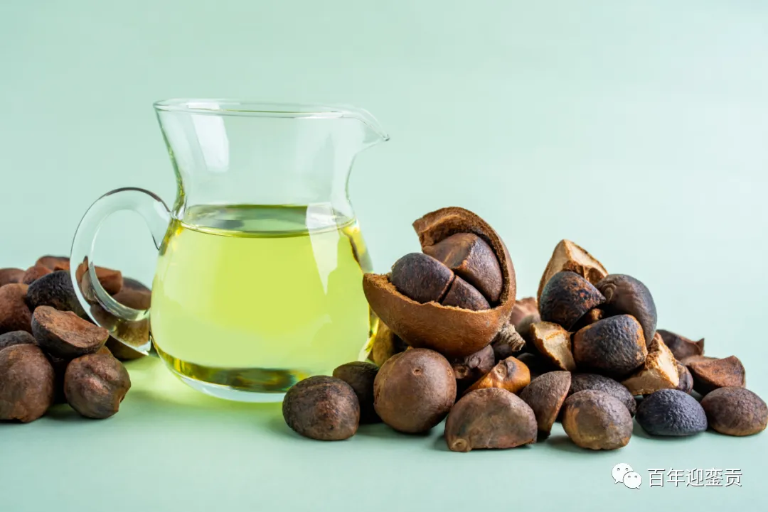 世界没有真相，只有认知，最好的食用油是中国的山茶油！ - 淄博生活资讯 - 淄博28生活网 zb.28life.com