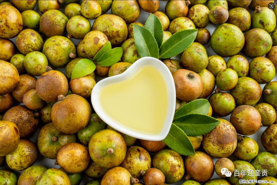 世界没有真相，只有认知，最好的食用油是中国的山茶油！ - 淄博生活资讯 - 淄博28生活网 zb.28life.com