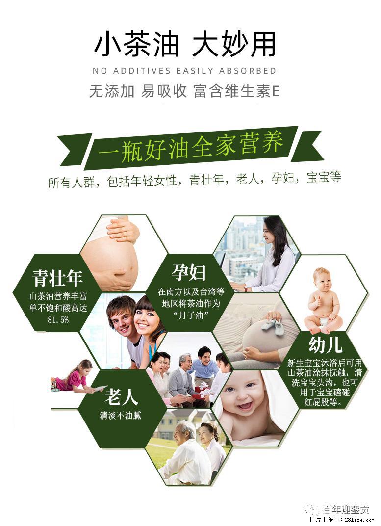 世界没有真相，只有认知，最好的食用油是中国的山茶油！ - 淄博生活资讯 - 淄博28生活网 zb.28life.com