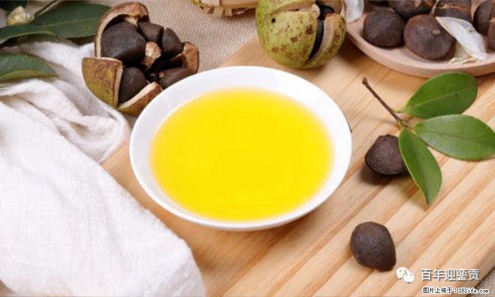 世界没有真相，只有认知，最好的食用油是中国的山茶油！ - 淄博生活资讯 - 淄博28生活网 zb.28life.com