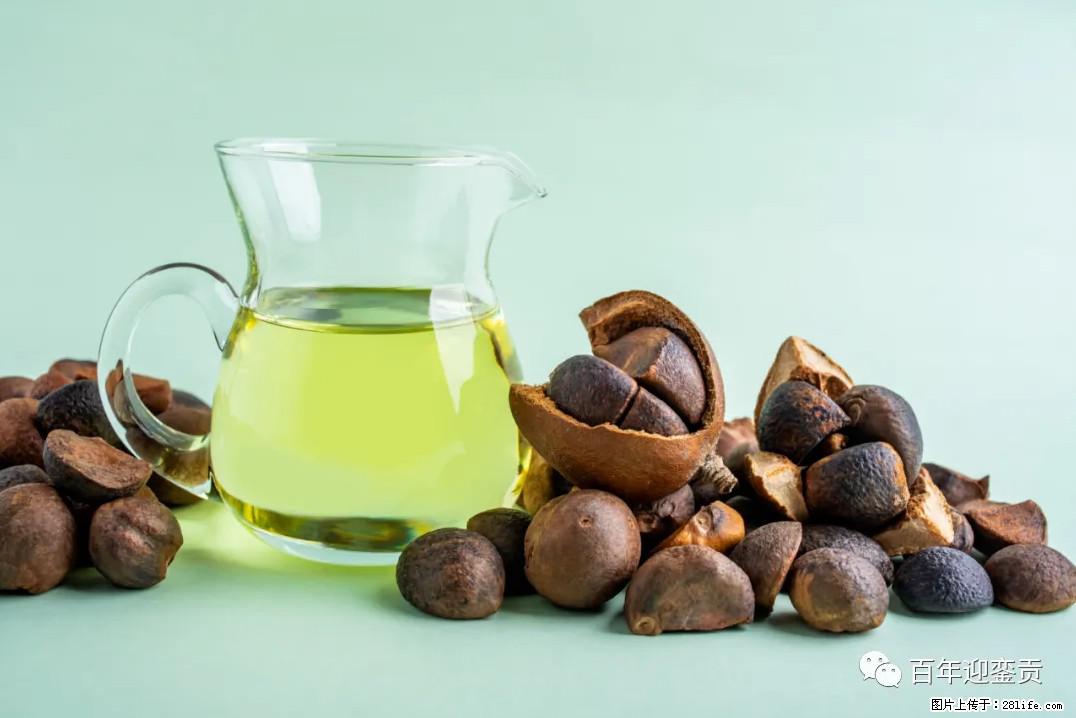 世界没有真相，只有认知，最好的食用油是中国的山茶油！ - 淄博生活资讯 - 淄博28生活网 zb.28life.com