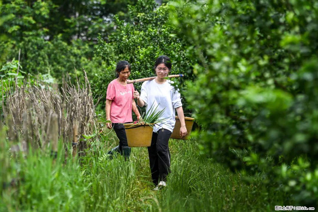 全网追的“扁担女孩”，找了一份暑假工，时薪12元 - 淄博生活资讯 - 淄博28生活网 zb.28life.com