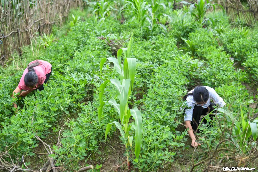 全网追的“扁担女孩”，找了一份暑假工，时薪12元 - 淄博生活资讯 - 淄博28生活网 zb.28life.com