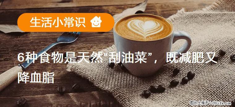 【生活小常识】6种食物是天然“刮油菜”，既减肥又降血脂 - 淄博生活资讯 - 淄博28生活网 zb.28life.com