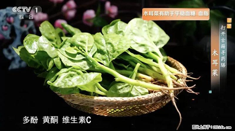 比牛奶补钙还厉害！凉血解毒、稳血糖...这菜冬天必吃，很多人却当草 - 淄博生活资讯 - 淄博28生活网 zb.28life.com