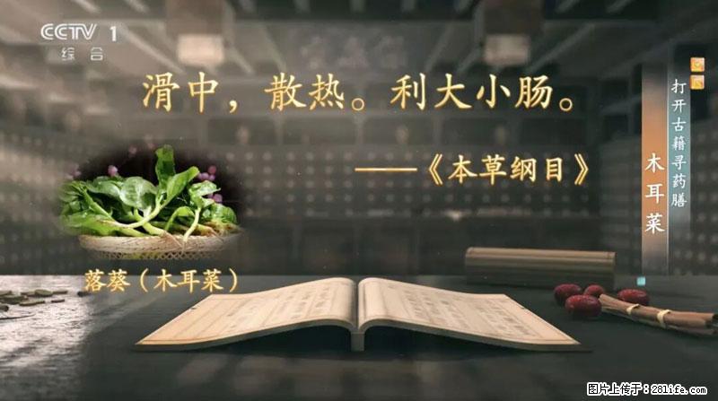 比牛奶补钙还厉害！凉血解毒、稳血糖...这菜冬天必吃，很多人却当草 - 淄博生活资讯 - 淄博28生活网 zb.28life.com