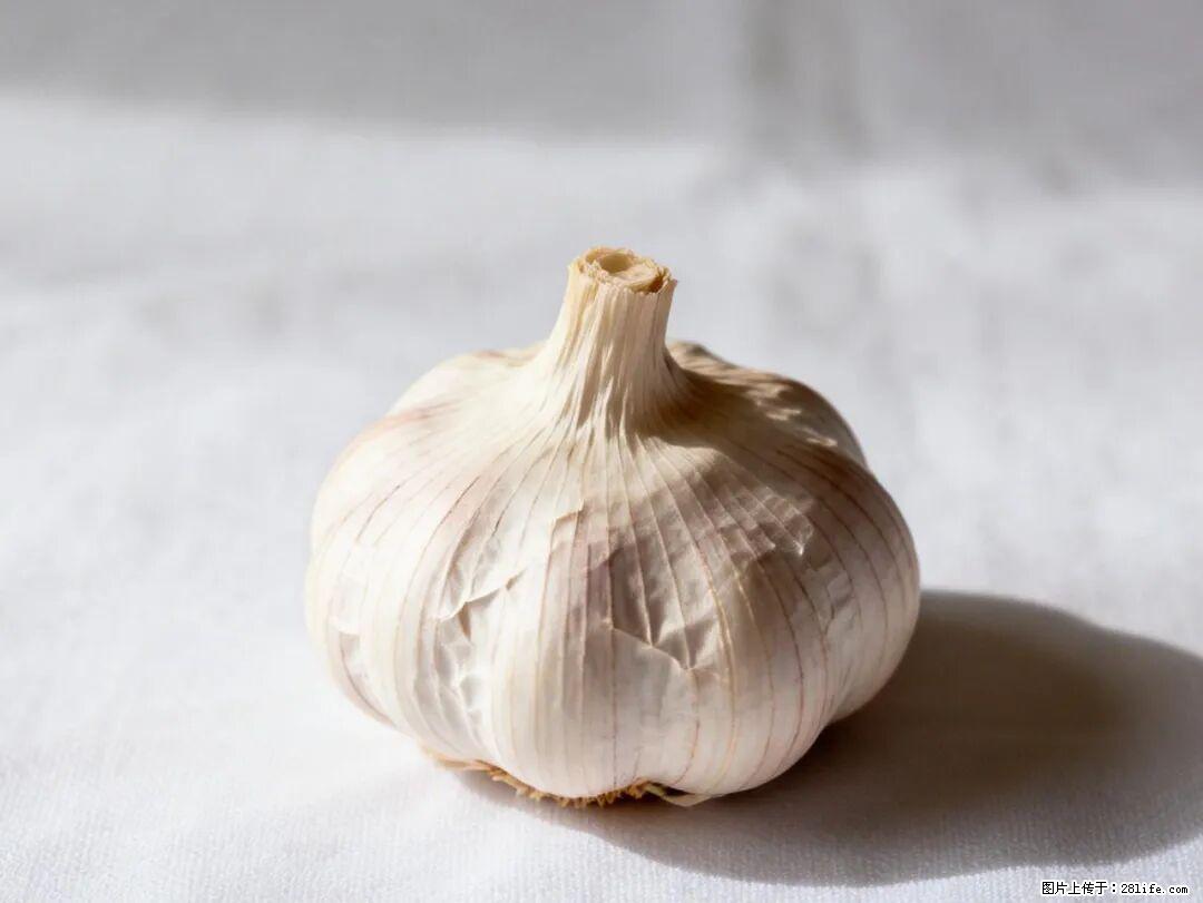 关于大蒜，除了“天然抗生素”，这4个谣言更该警惕! - 淄博生活资讯 - 淄博28生活网 zb.28life.com