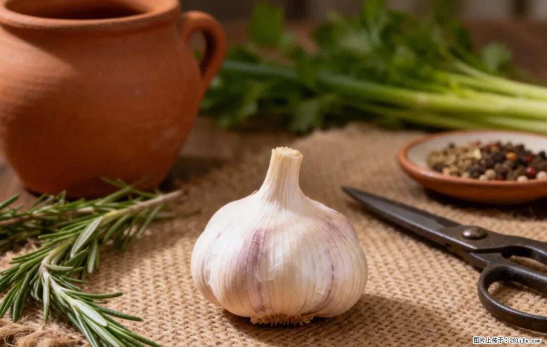关于大蒜，除了“天然抗生素”，这4个谣言更该警惕! - 淄博生活资讯 - 淄博28生活网 zb.28life.com