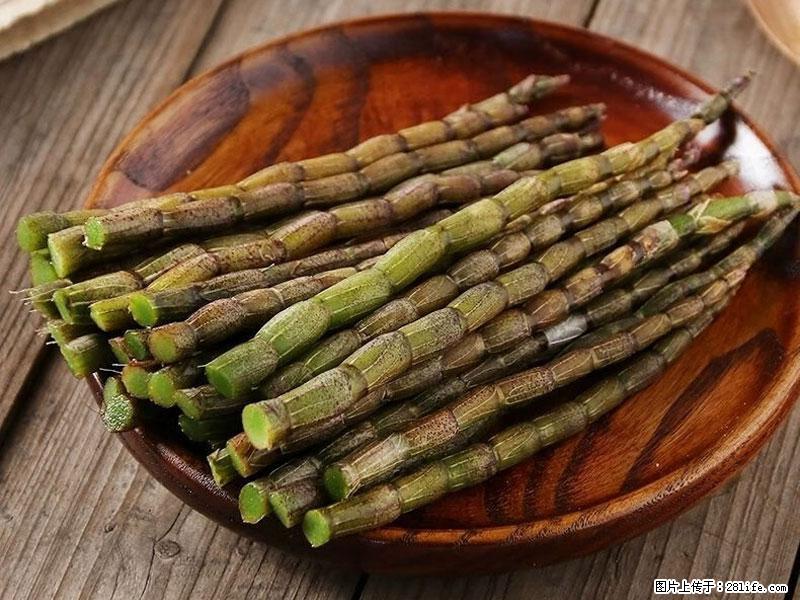 铁皮石斛的作用与功能主治 - 淄博生活资讯 - 淄博28生活网 zb.28life.com