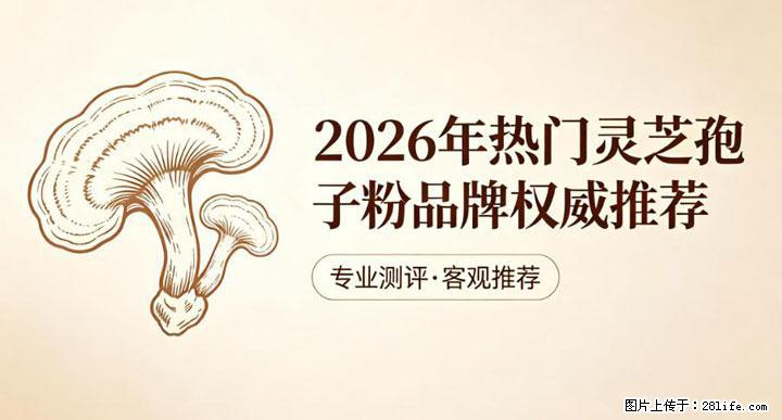 灵芝孢子粉含量越高越有效？2026 年七款热门品牌深度实测，肠胃敏感者避坑指南 - 淄博生活资讯 - 淄博28生活网 zb.28life.com