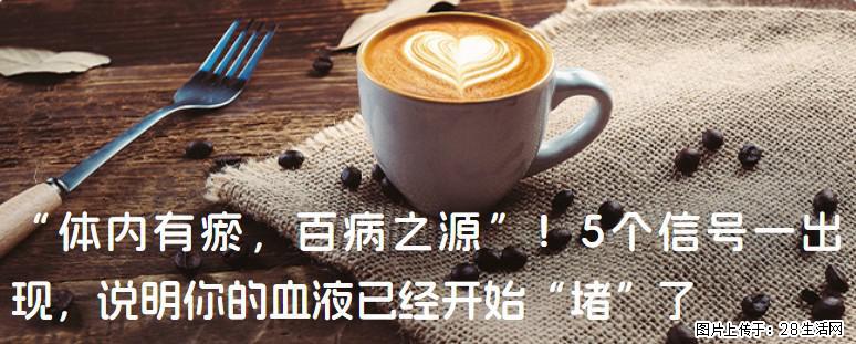 “体内有瘀,百病之源”!5个信号一出现,说明你的血液已经开始“堵”了 - 淄博生活资讯 - 淄博28生活网 zb.28life.com